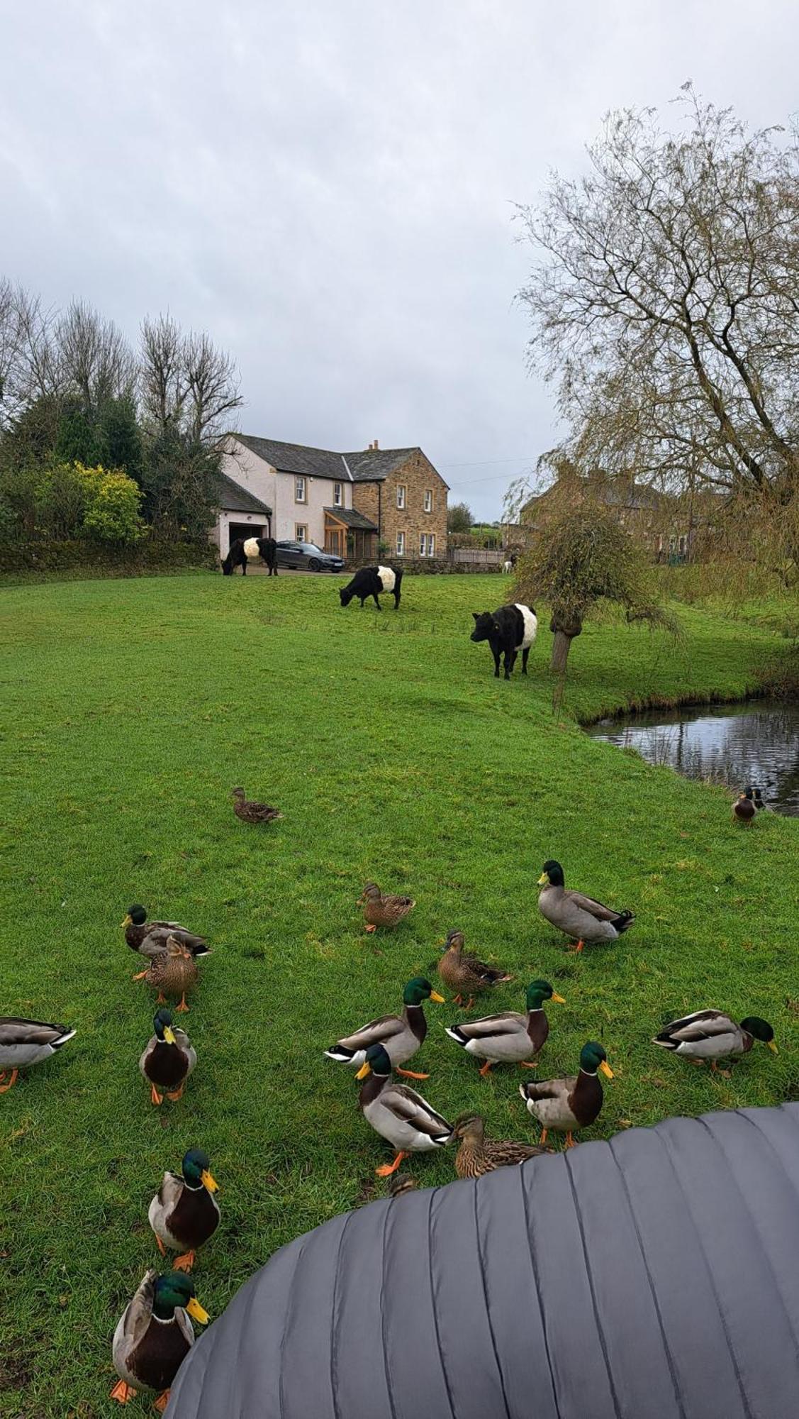 Church House Barn Lake District & Solway Coast With Solway Firth Views シロス エクステリア 写真